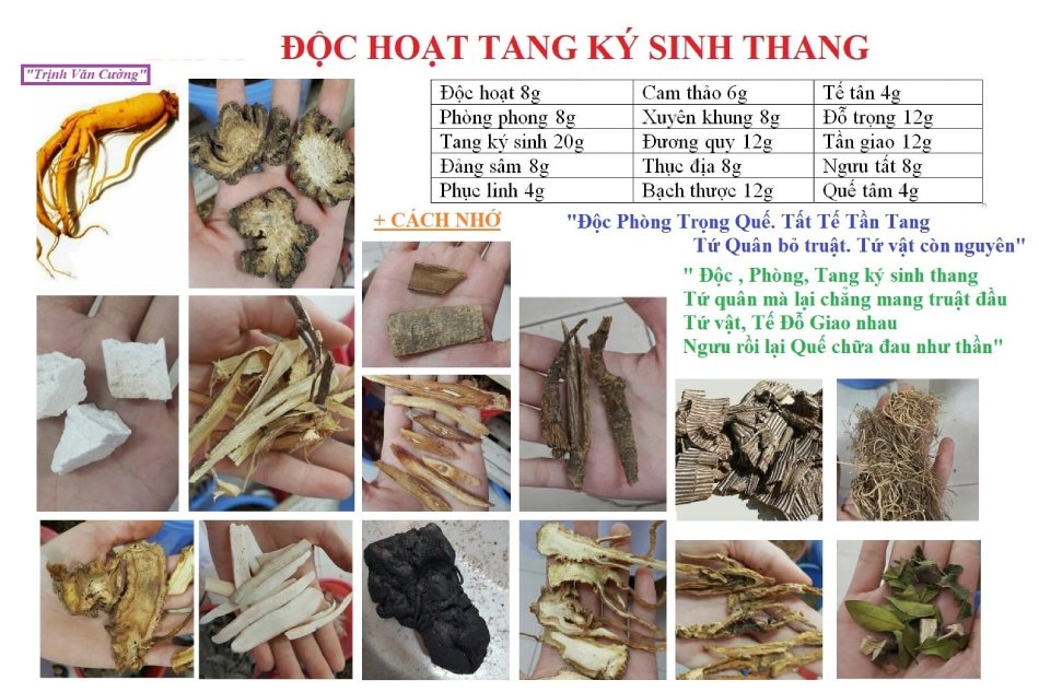 Độc hoạt tang ký sinh thang